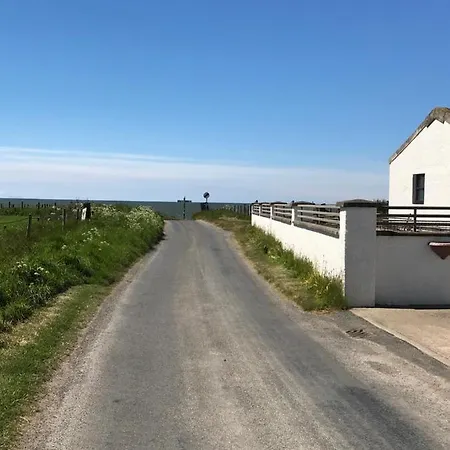 Dove * Allonby